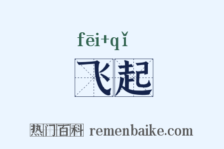 飞起是什么意思的图片